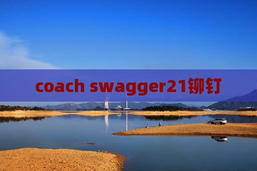 coach swagger21铆钉